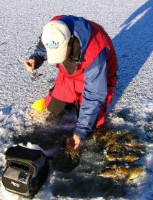 Potent Plastics for Ice Fishing - Matt Johnson Outdoors